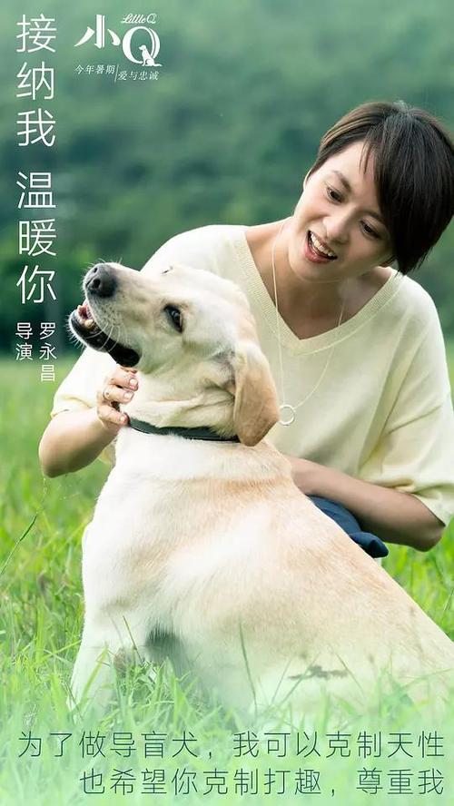UniversityofStAndrews留信网认证办理